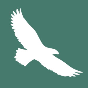 Hawk & Grace Wellbeing logo